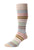 Men's Kilburn Stripe Sock
