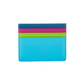 Credit Card Holder