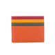 Credit Card Holder