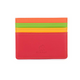 Credit Card Holder