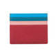 Credit Card Holder